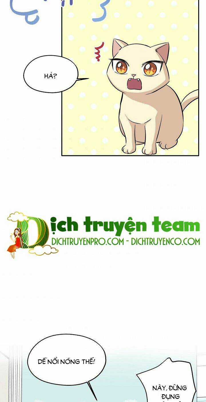 Cuộc Sống Kỳ Thú - Chapter 69 - Trang 44