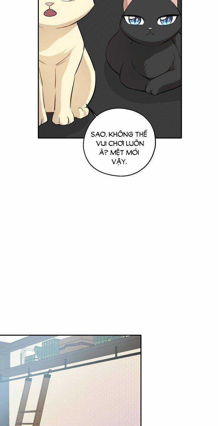 Cuộc Sống Kỳ Thú - Chapter 69 - Trang 10