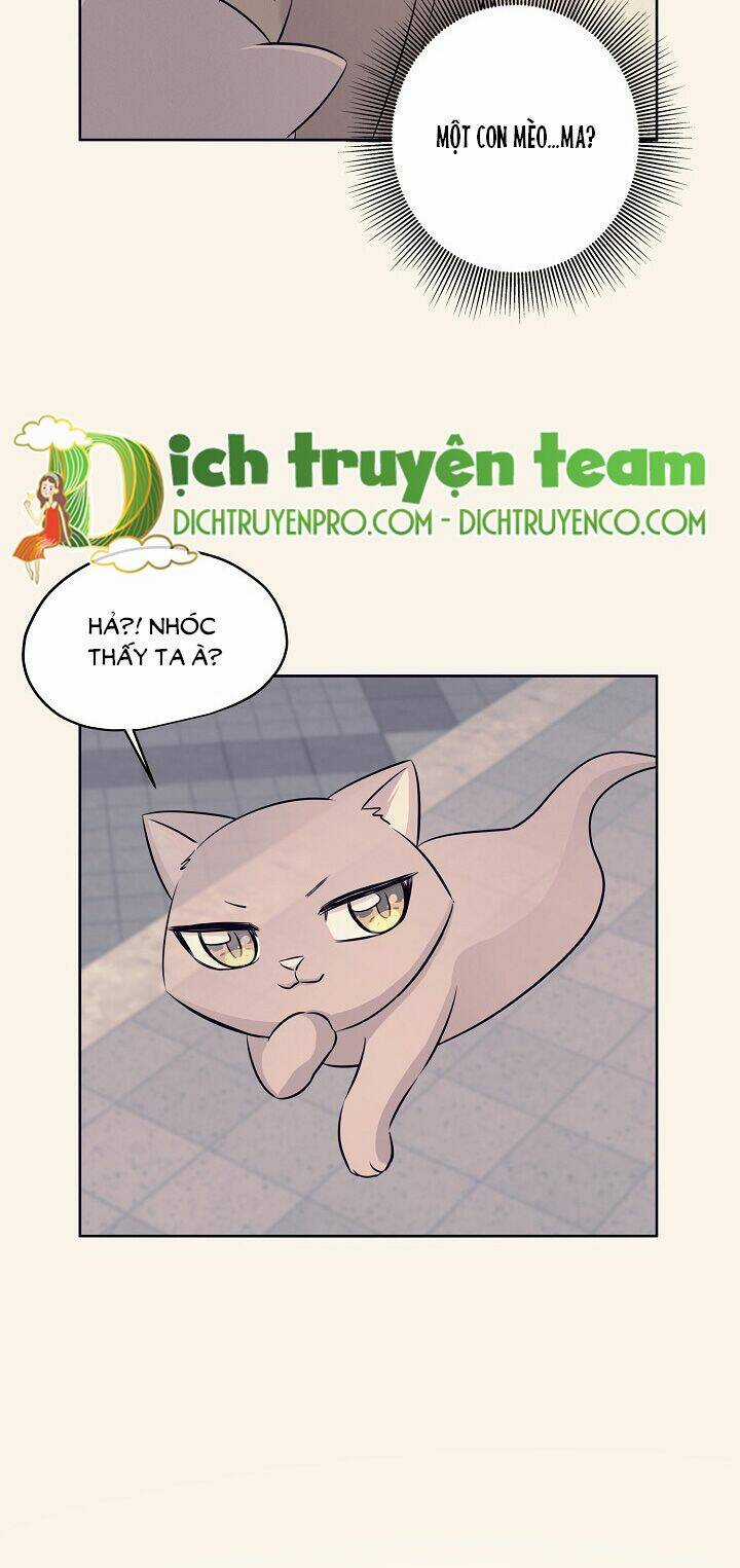 Cuộc Sống Kỳ Thú - Chapter 76 - Trang 28