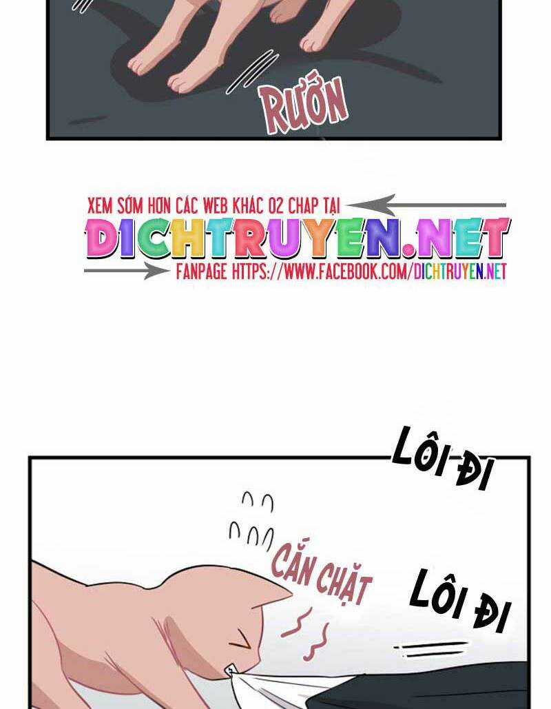 Cuộc Sống Kỳ Thú - Chapter 8 - Trang 36