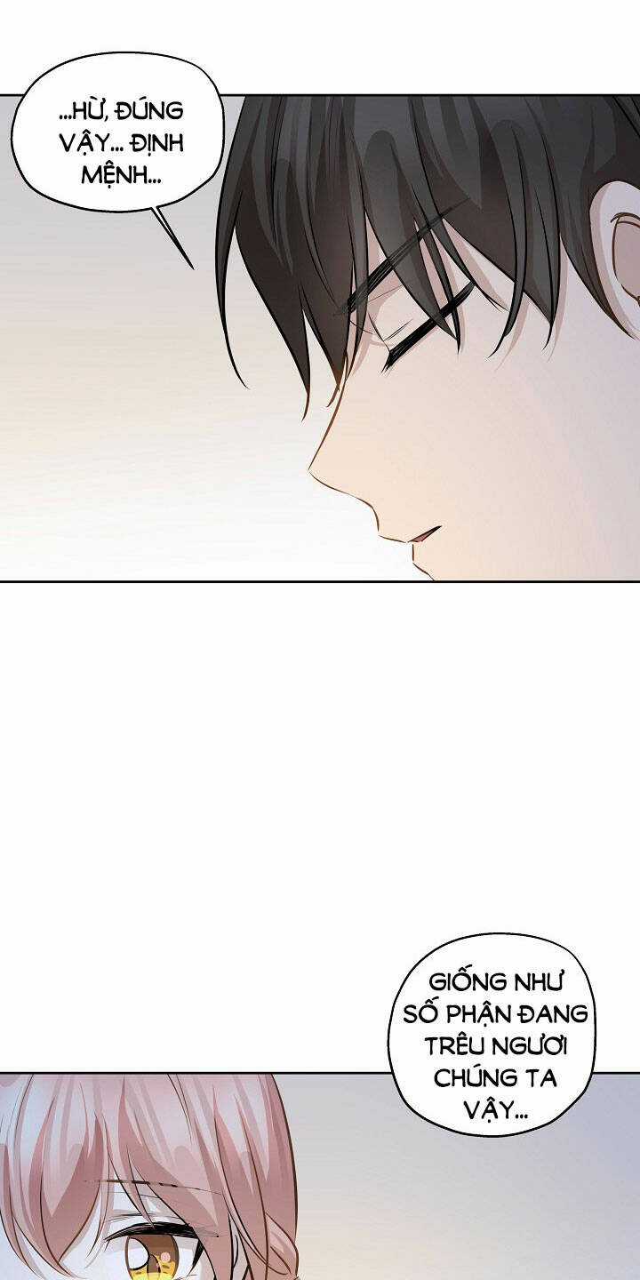 Cuộc Sống Kỳ Thú - Chapter 81 - Trang 38