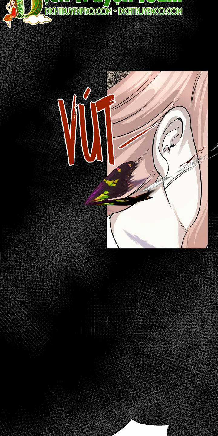 Cuộc Sống Kỳ Thú - Chapter 84 - Trang 74