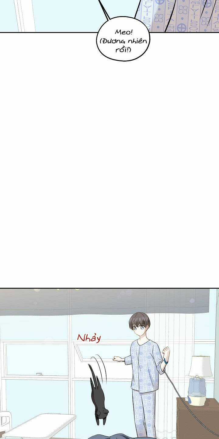 Cuộc Sống Kỳ Thú - Chapter 86 - Trang 19