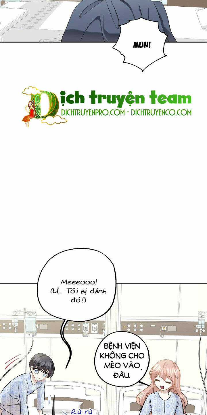 Cuộc Sống Kỳ Thú - Chapter 86 - Trang 20