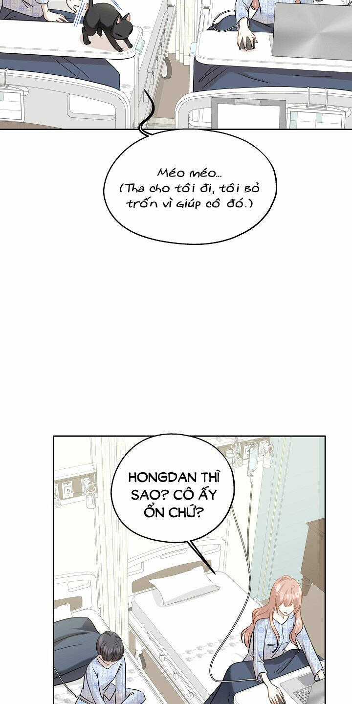 Cuộc Sống Kỳ Thú - Chapter 86 - Trang 21