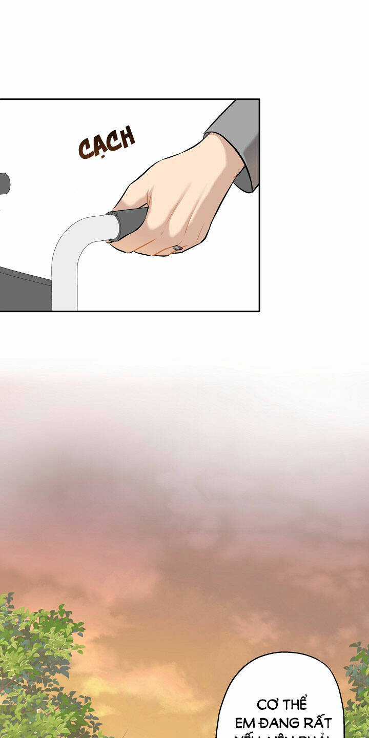 Cuộc Sống Kỳ Thú - Chapter 87 - Trang 44