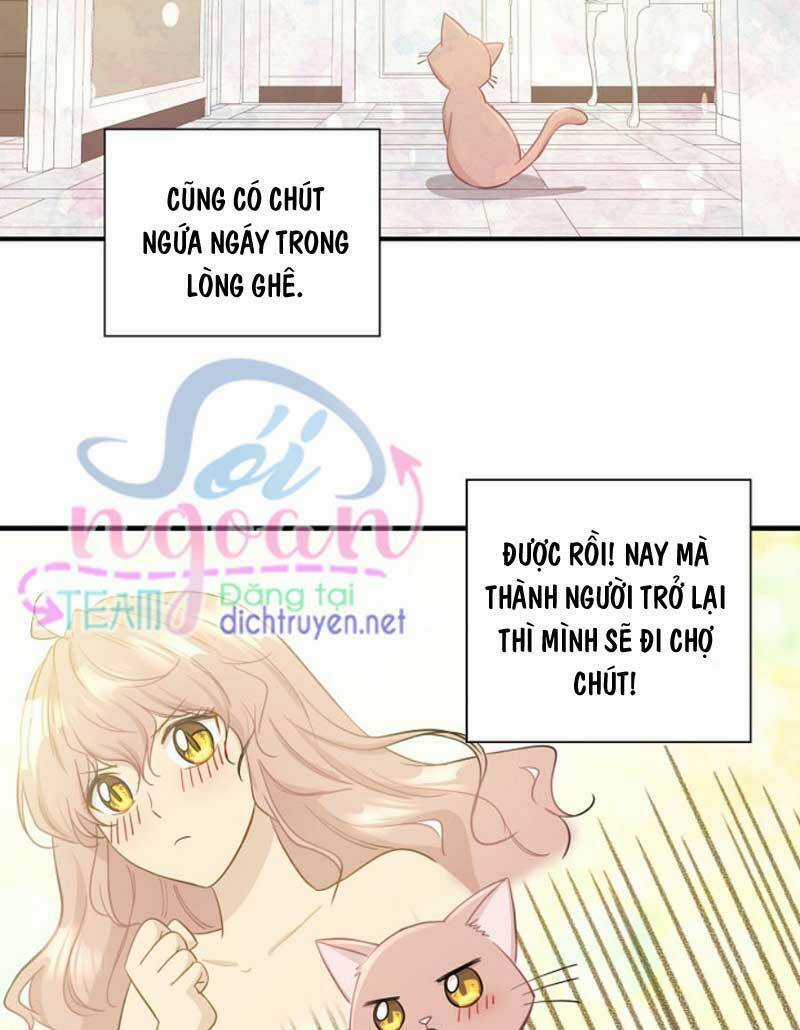 Cuộc Sống Kỳ Thú - Chapter 9 - Trang 14