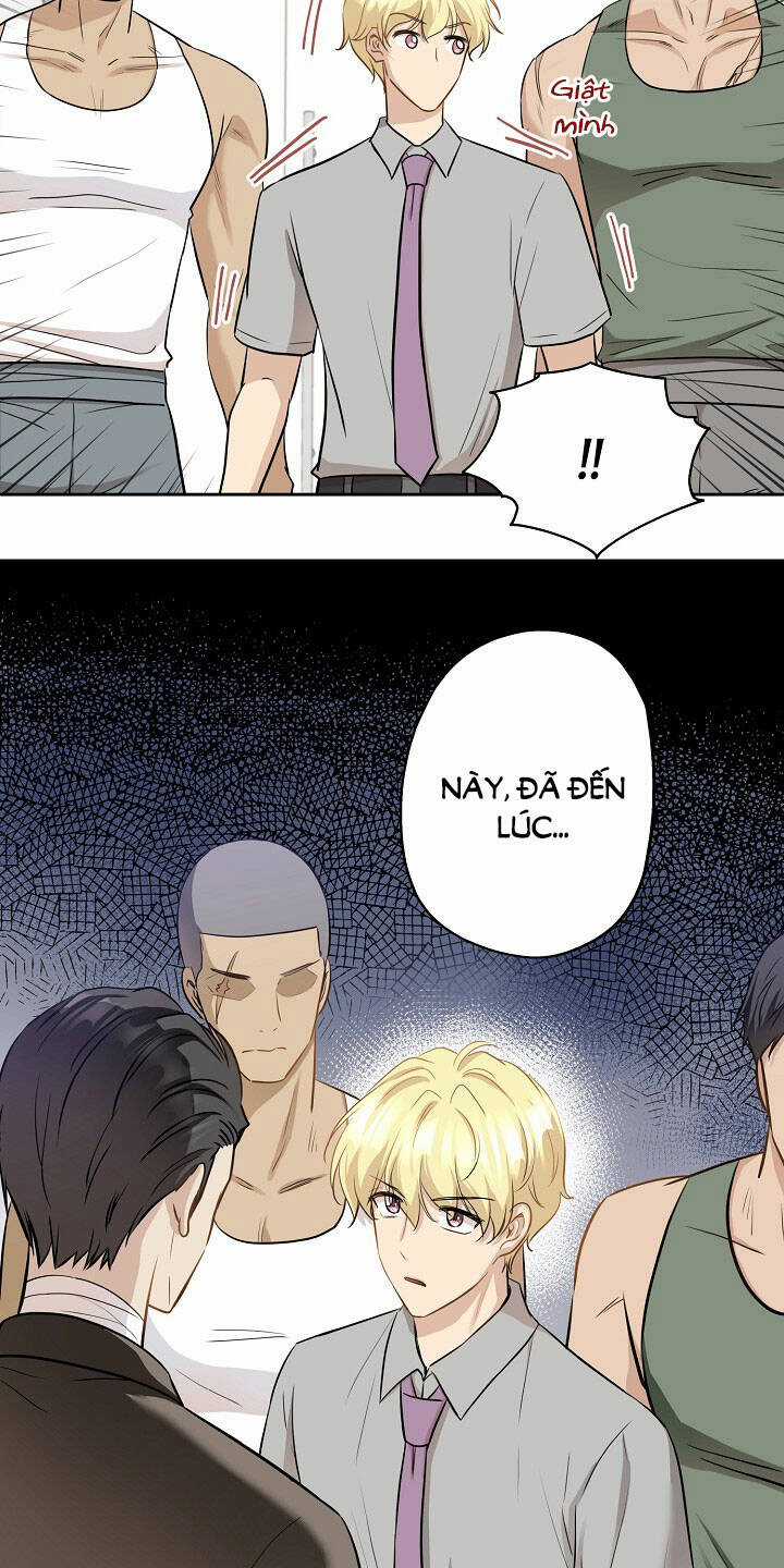 Cuộc Sống Kỳ Thú - Chapter 90 - Trang 25