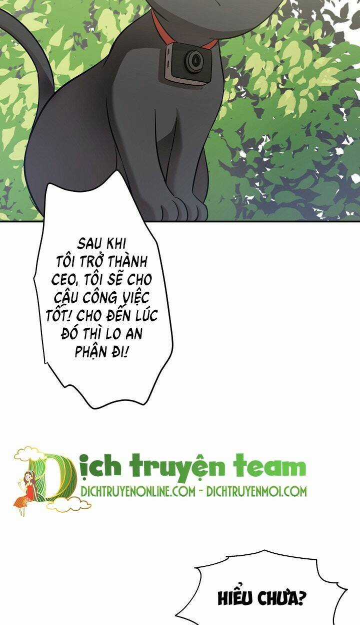 Cuộc Sống Kỳ Thú - Chapter 92 - Trang 81