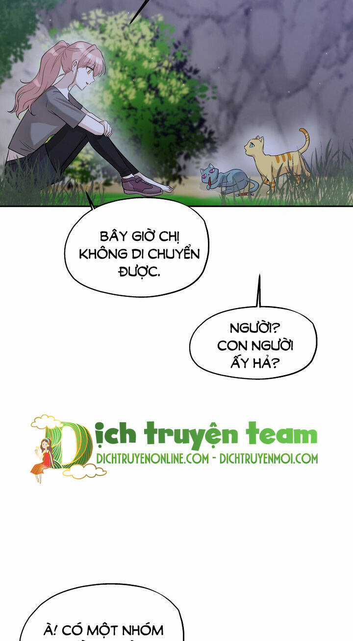 Cuộc Sống Kỳ Thú - Chapter 97 - Trang 17