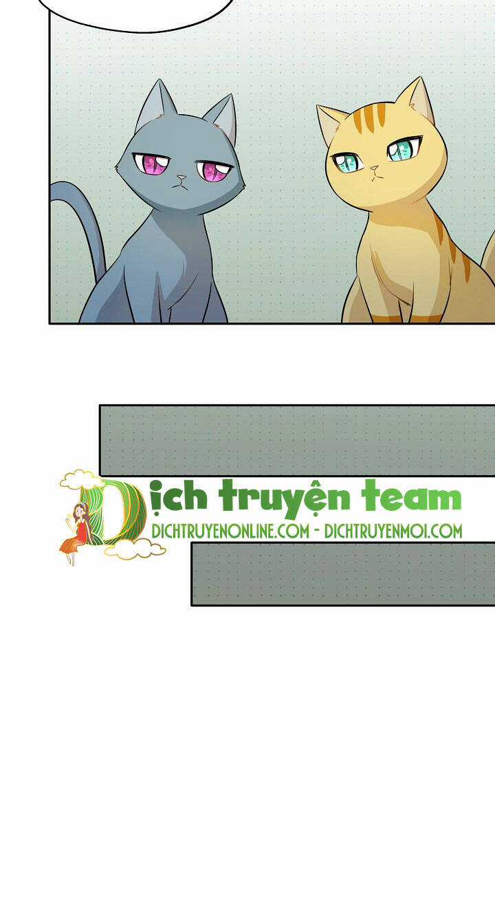 Cuộc Sống Kỳ Thú - Chapter 97 - Trang 20