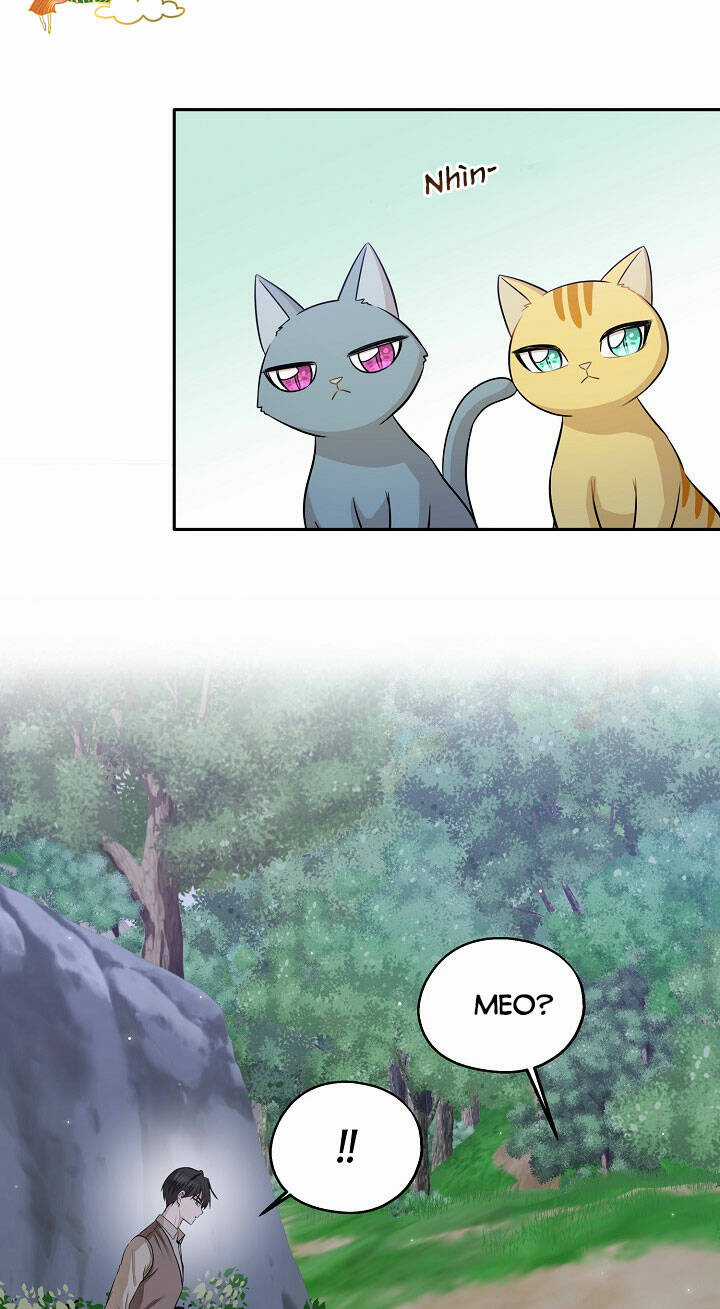 Cuộc Sống Kỳ Thú - Chapter 97 - Trang 28