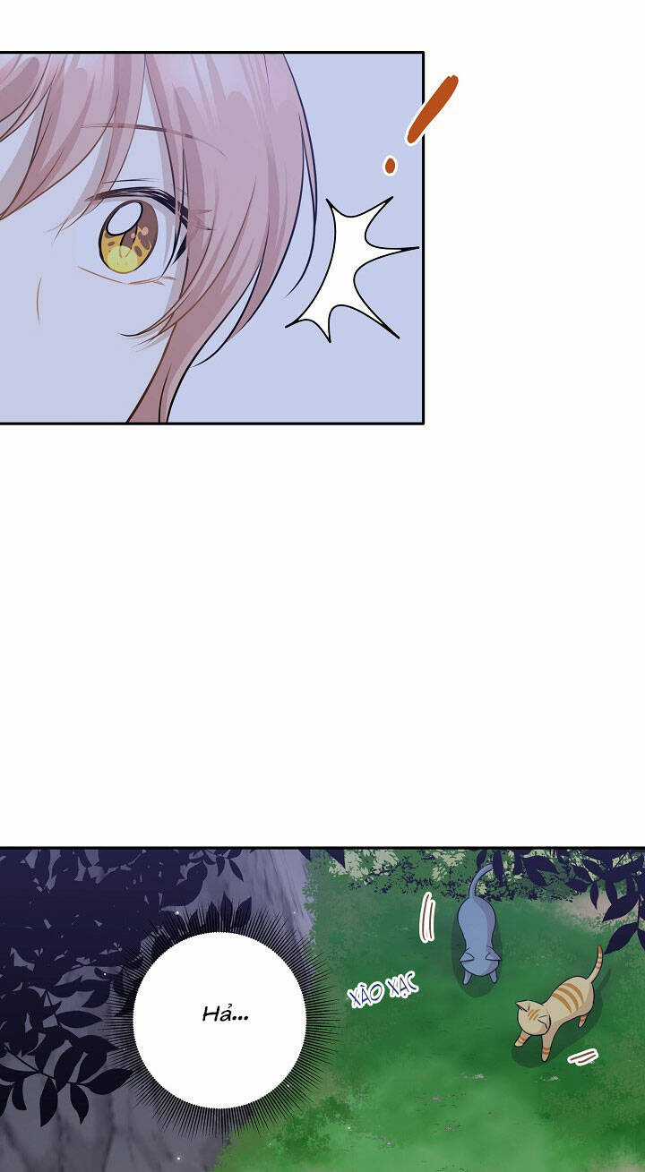 Cuộc Sống Kỳ Thú - Chapter 97 - Trang 6