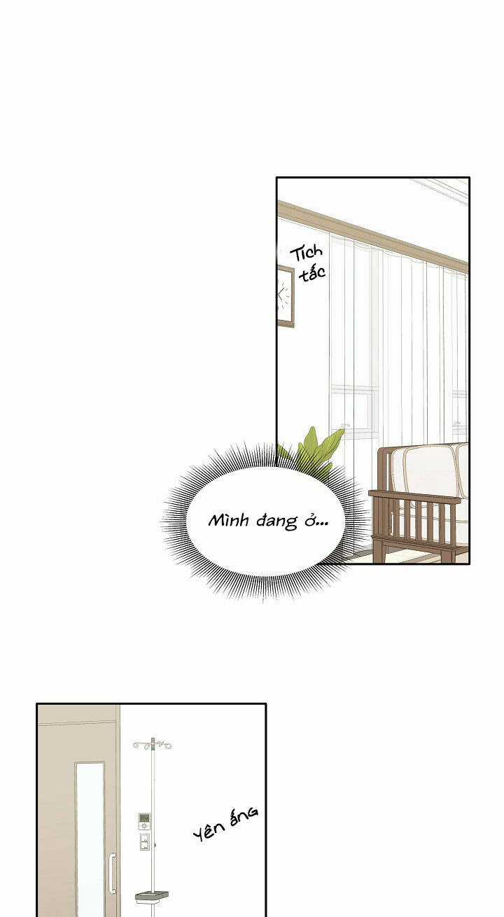 Cuộc Sống Kỳ Thú - Chapter 98 - Trang 42