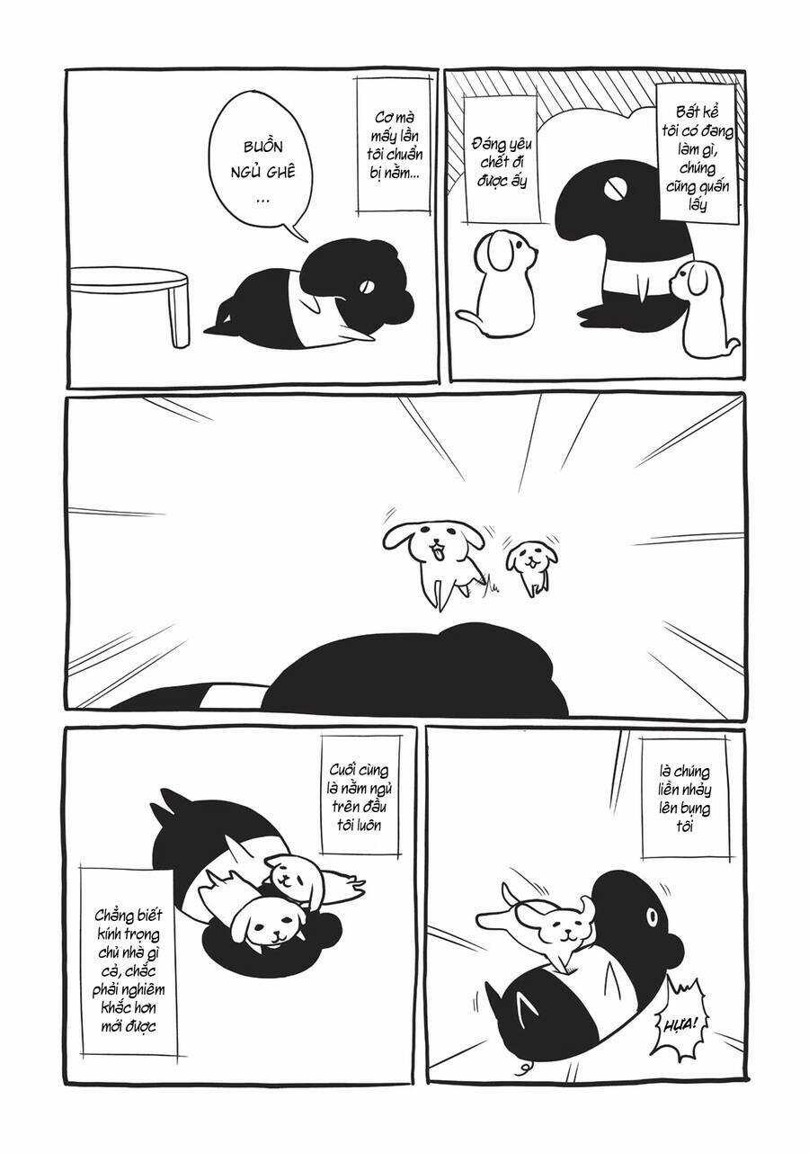 Cuộc Sống Thường Ngày - Chapter 62 - Trang 22