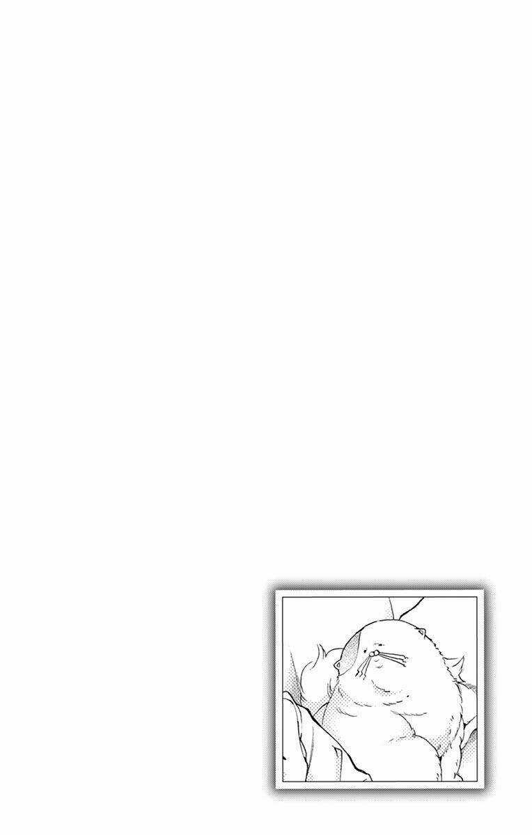 Cuộc Tình Cà Rốt - Chapter 8 - Trang 8