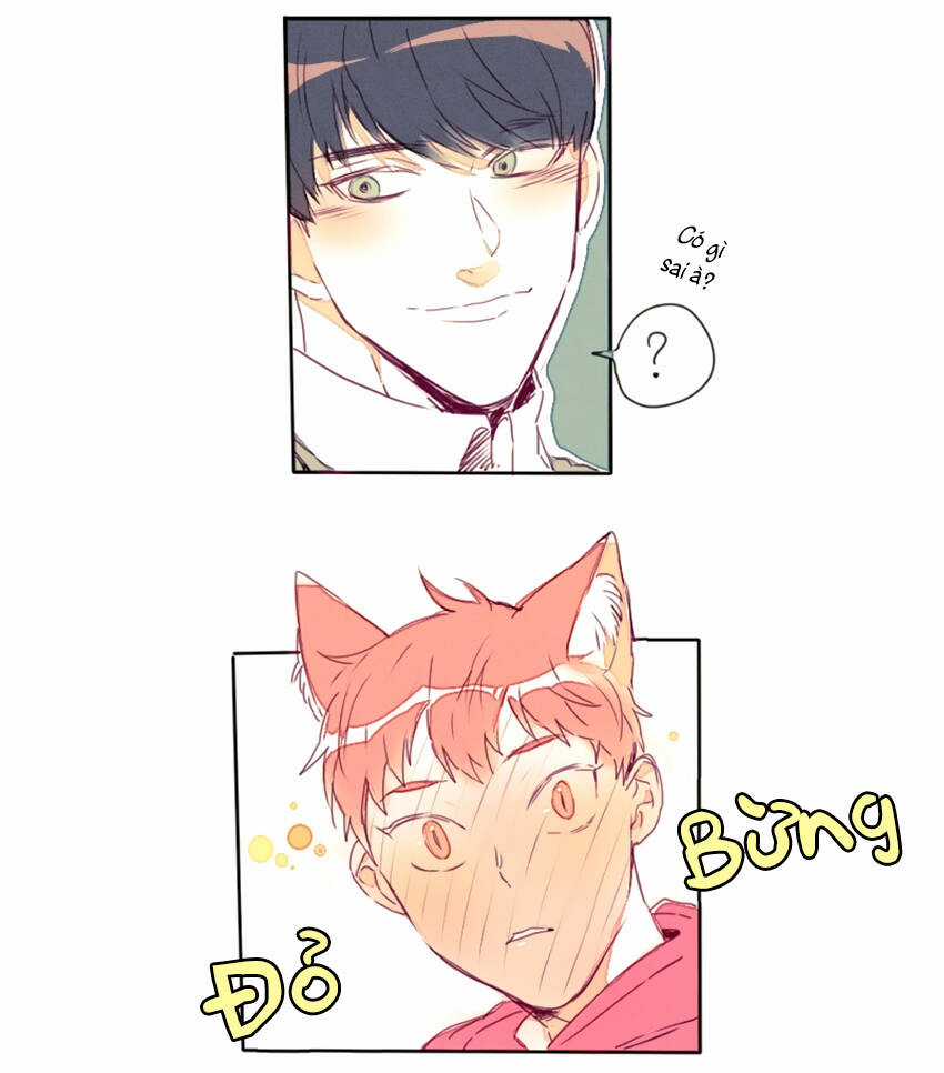 Cưới, Tôi Ư? - Chapter 15 - Trang 19