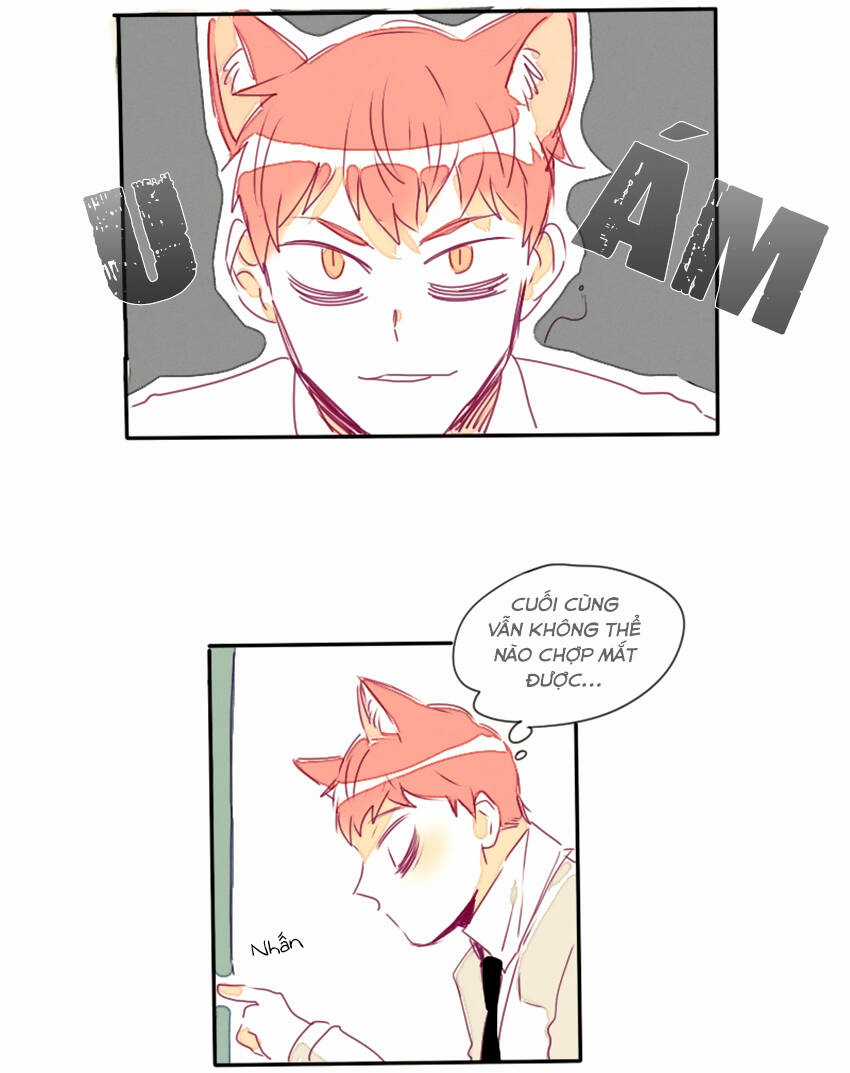 Cưới, Tôi Ư? - Chapter 16 - Trang 16