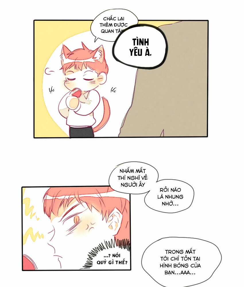 Cưới, Tôi Ư? - Chapter 16 - Trang 18