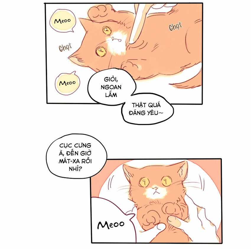 Cưới, Tôi Ư? - Chapter 17 - Trang 4