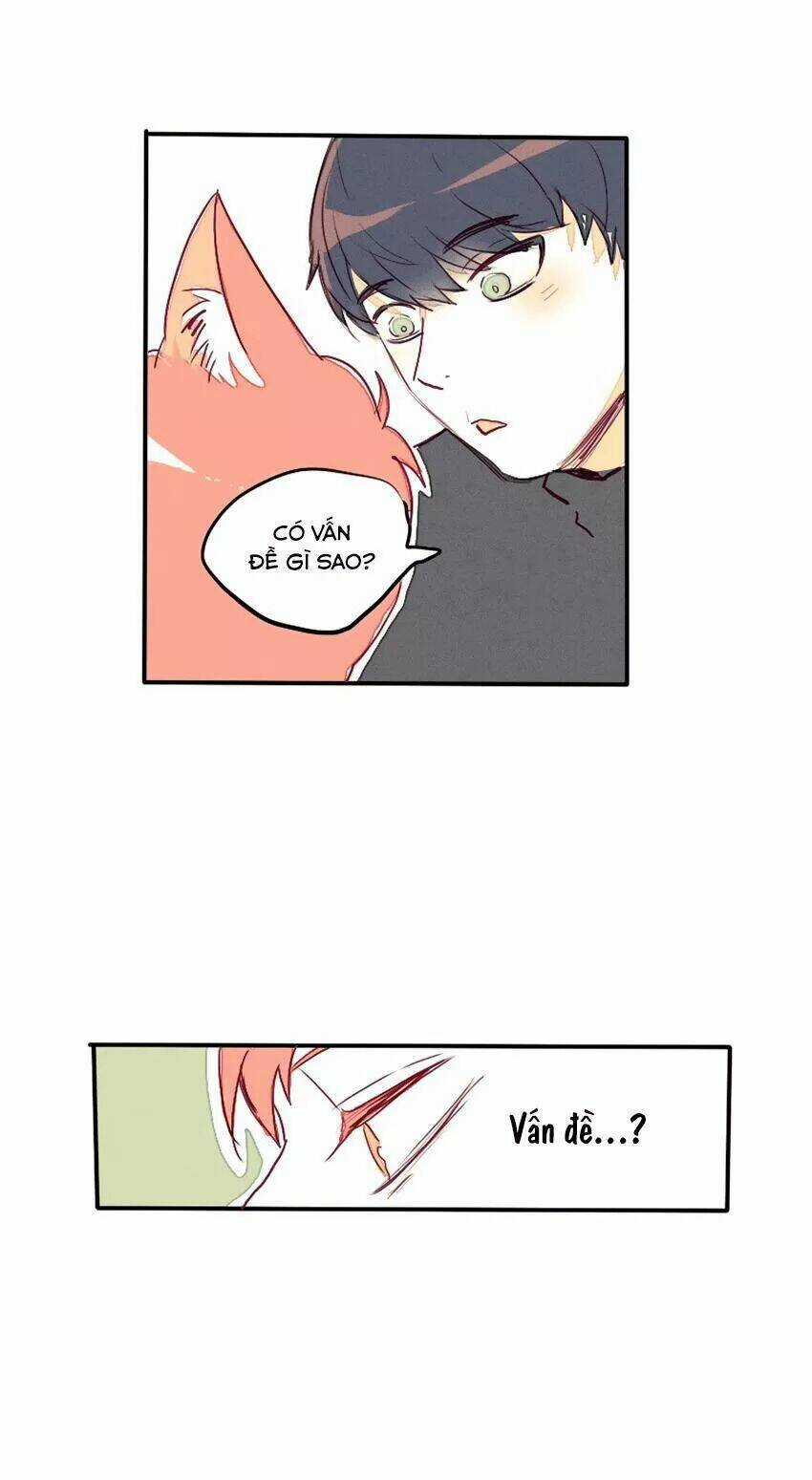 Cưới, Tôi Ư? - Chapter 28 - Trang 17