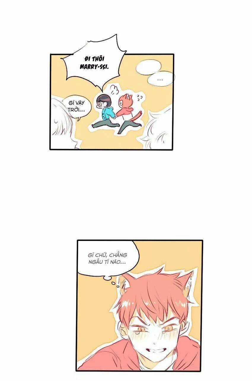 Cưới, Tôi Ư? - Chapter 29 - Trang 23