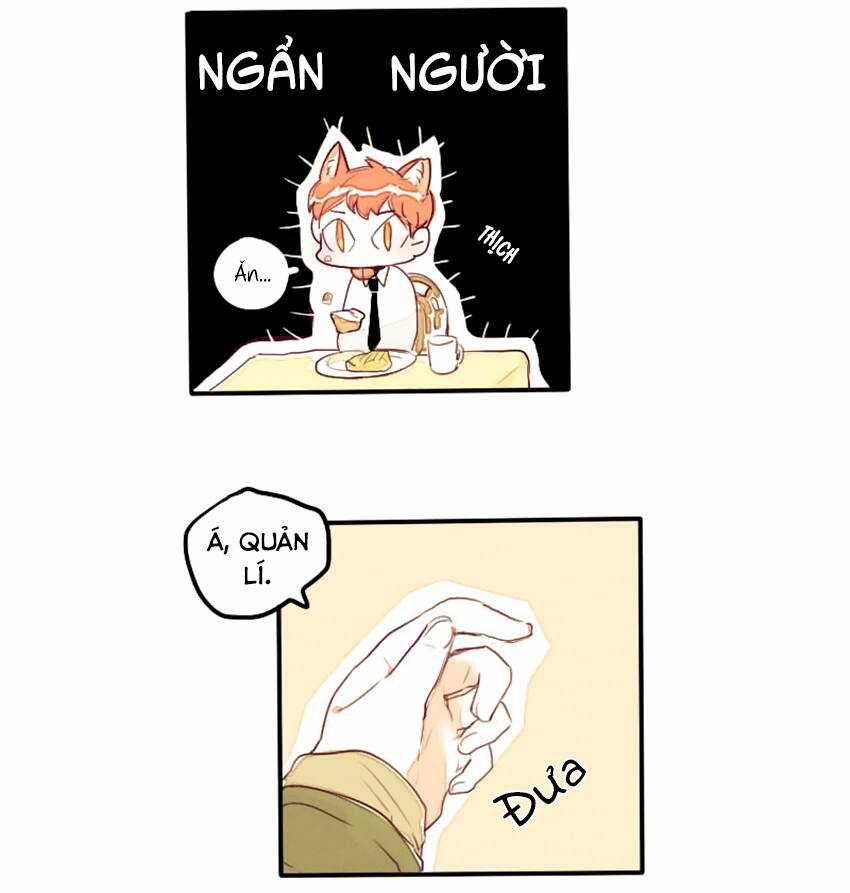 Cưới, Tôi Ư? - Chapter 7 - Trang 15