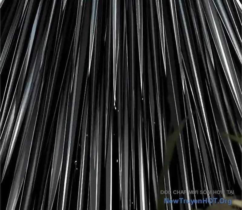 Cuốn Sổ Sinh Tử - Chương 10 - Trang 225