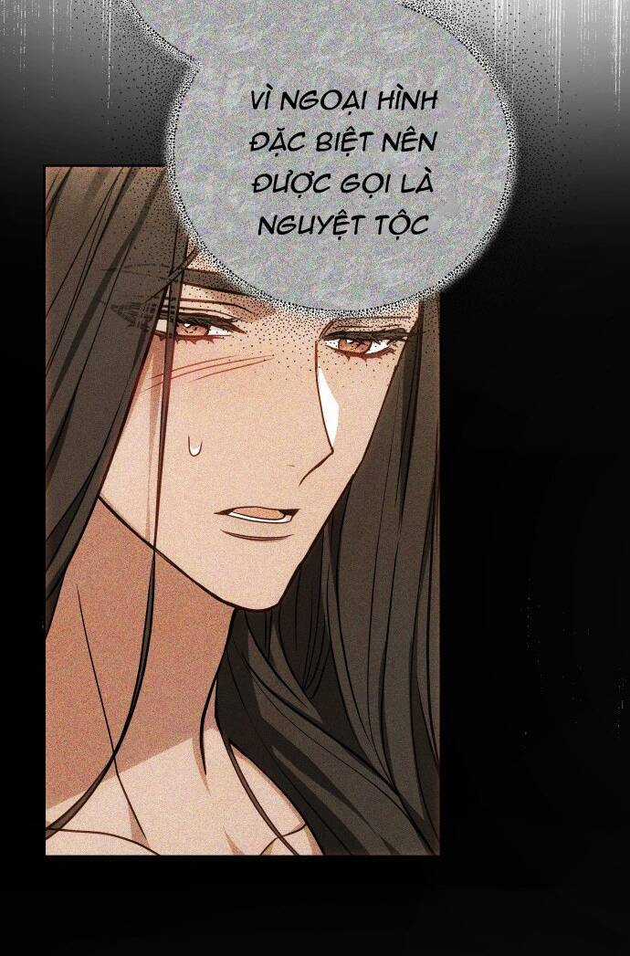 Cướp Dâu - Chapter 65.1 - Trang 38