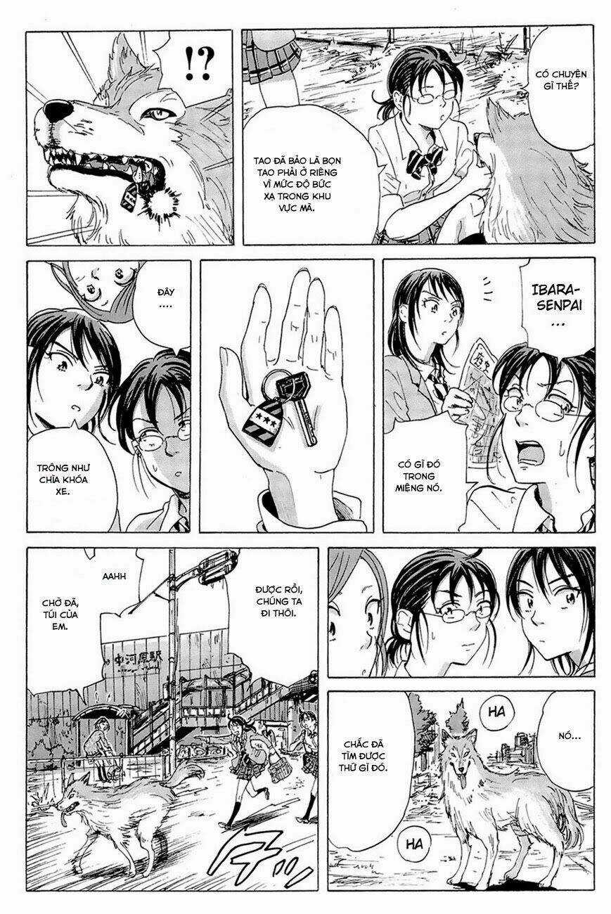 Cúp Quốc Sư Tử - Chapter 11 - Trang 8