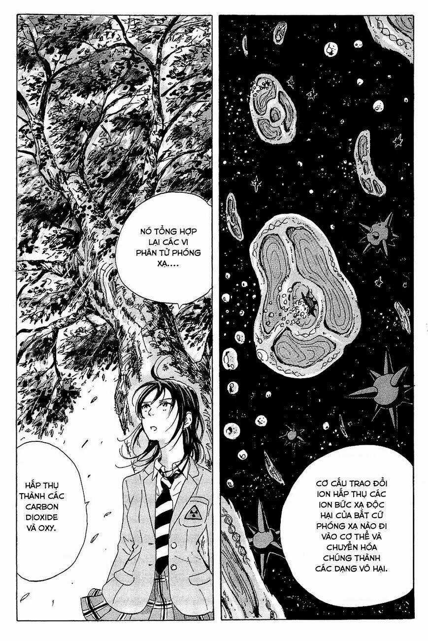 Cúp Quốc Sư Tử - Chapter 13 - Trang 21