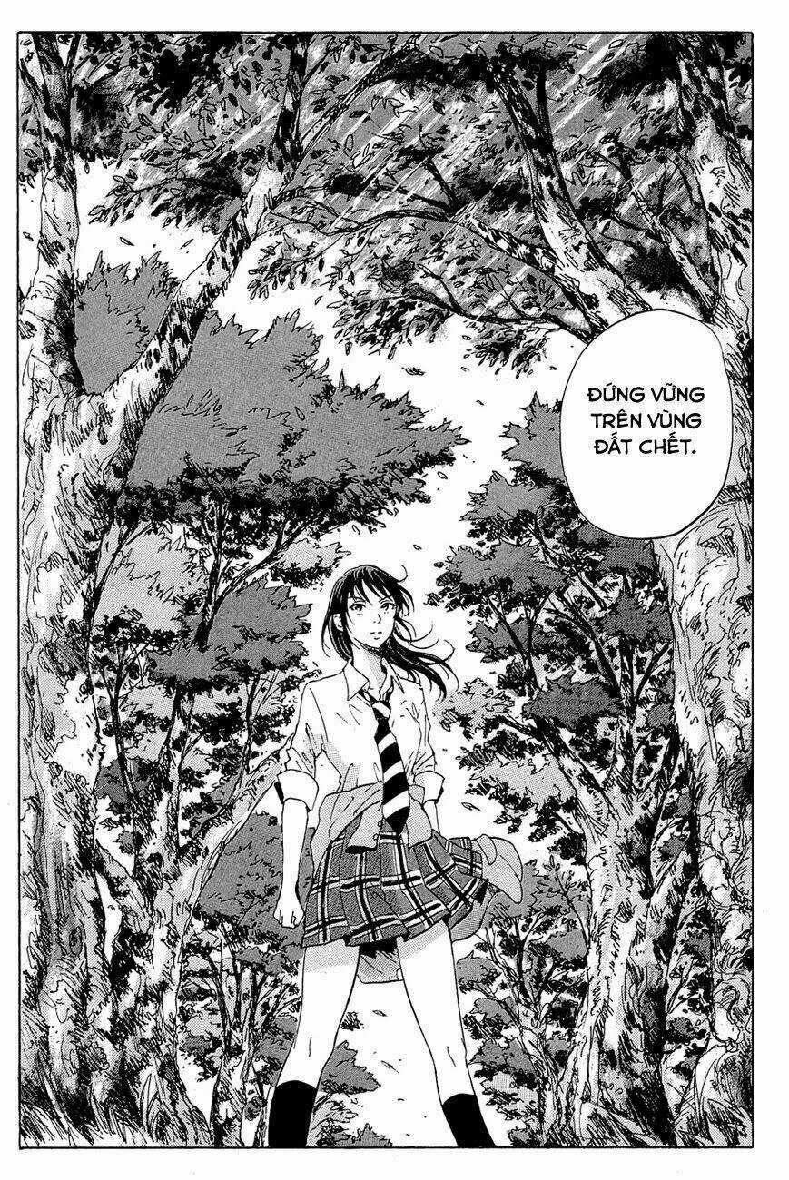 Cúp Quốc Sư Tử - Chapter 15 - Trang 21