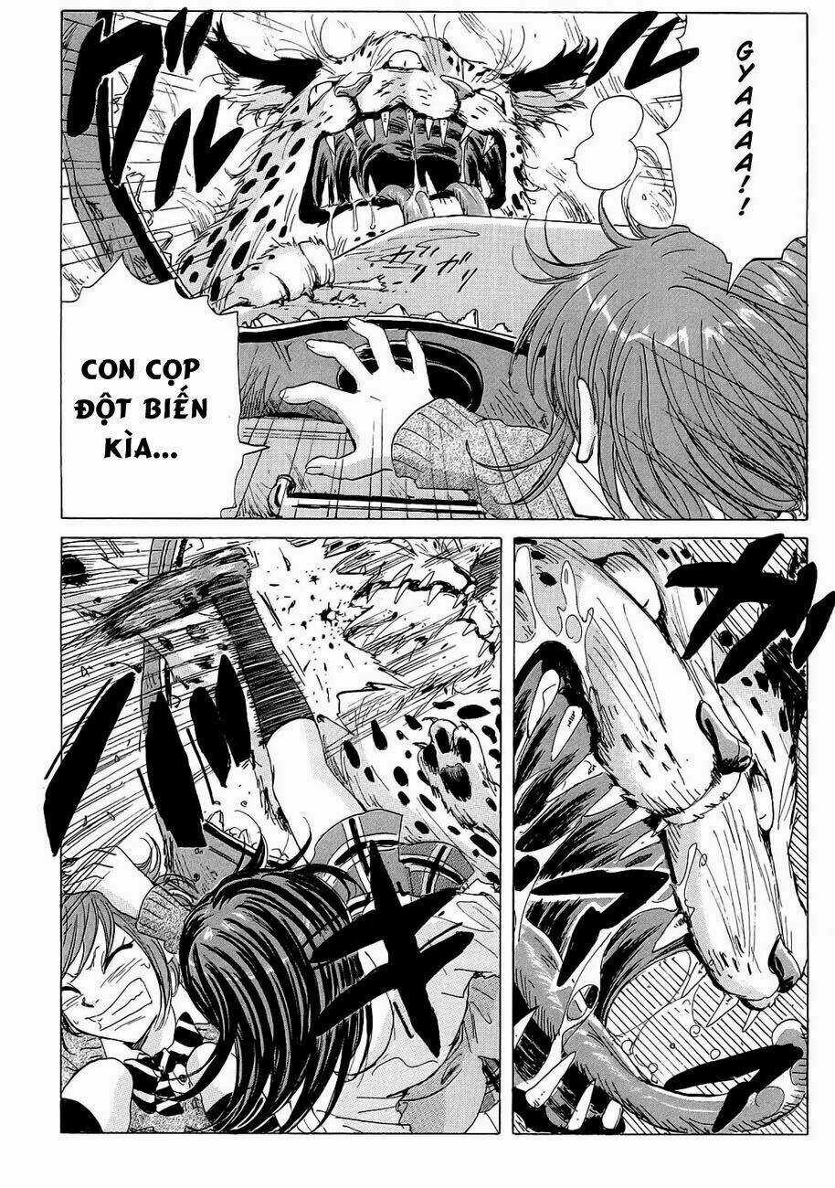 Cúp Quốc Sư Tử - Chapter 20 - Trang 11