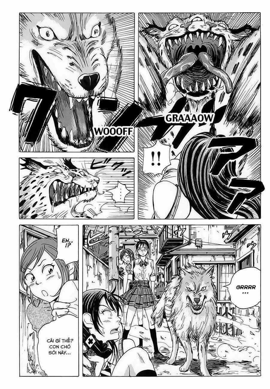 Cúp Quốc Sư Tử - Chapter 5 - Trang 17