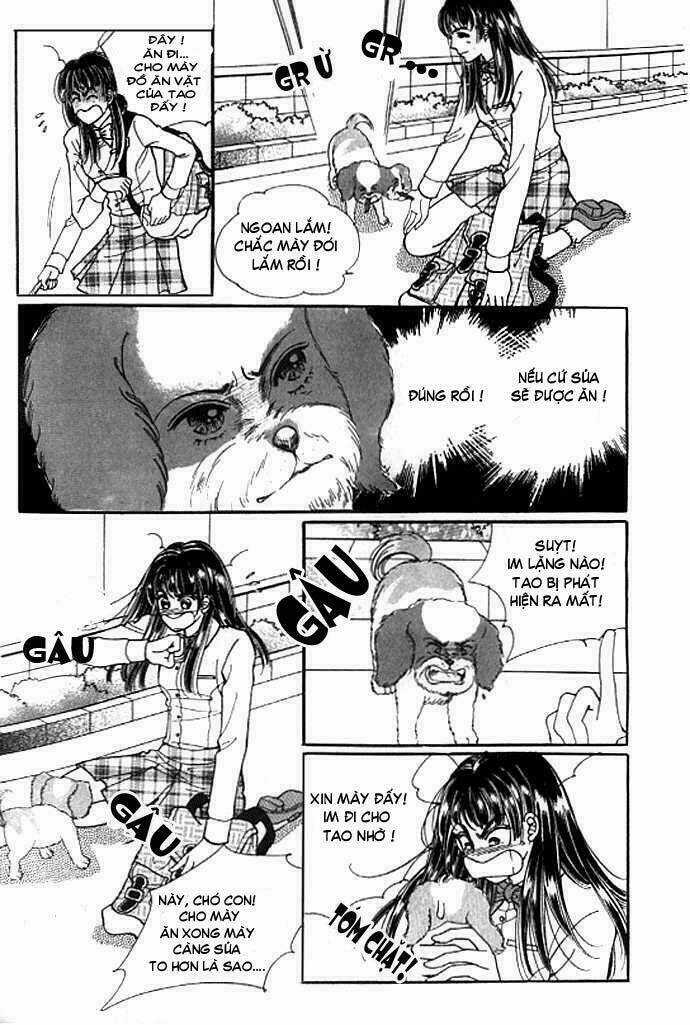 Cutie Boy - Chapter 10 - Trang 20