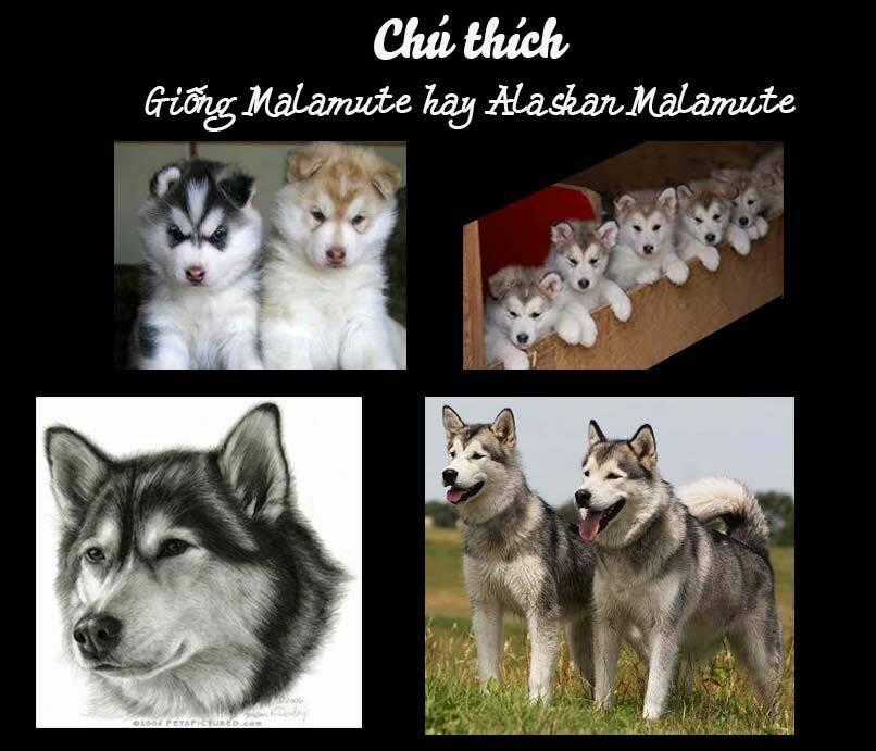 Cutie Boy - Chapter 15 - Trang 58