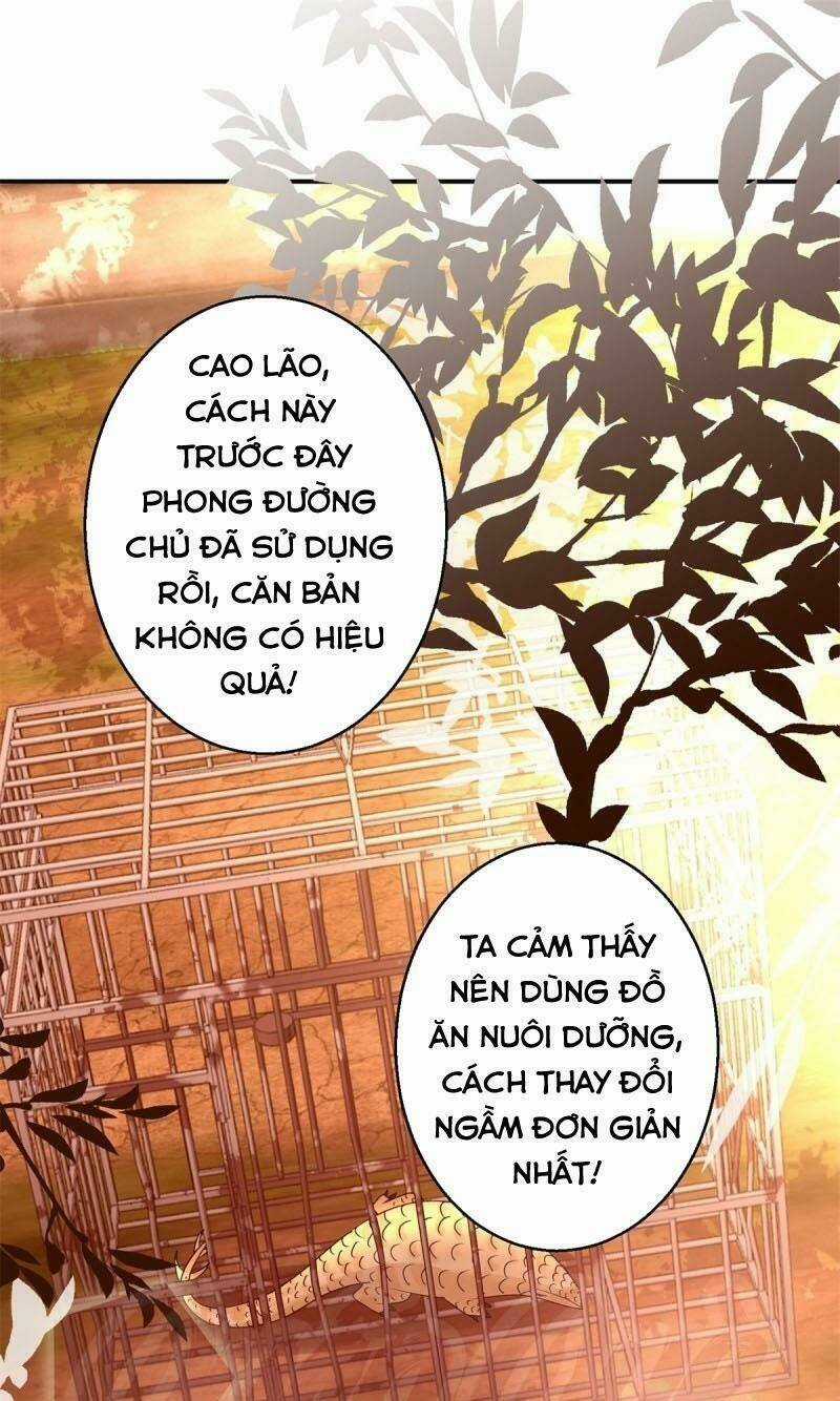 Cửu Dương Đế Tôn - Chapter 154 - Trang 1