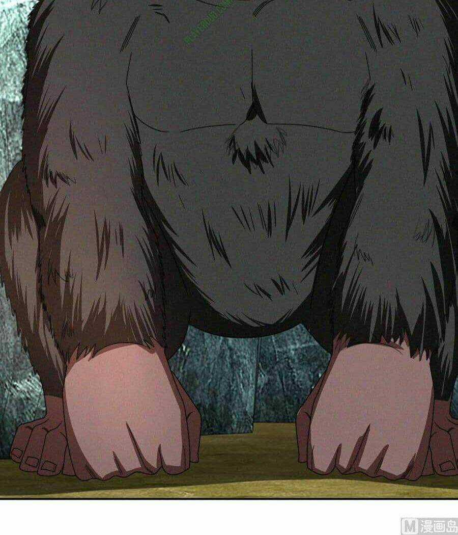 Cửu Dương Đế Tôn - Chapter 50 - Trang 4