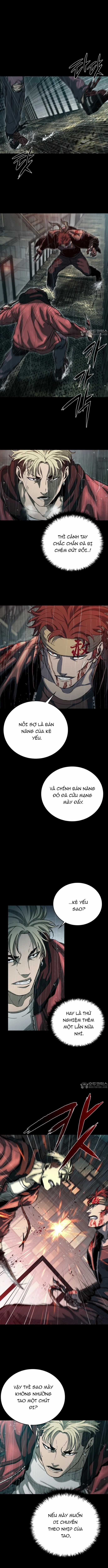 Cửu Long Saroka - Chapter 42 - Trang 11