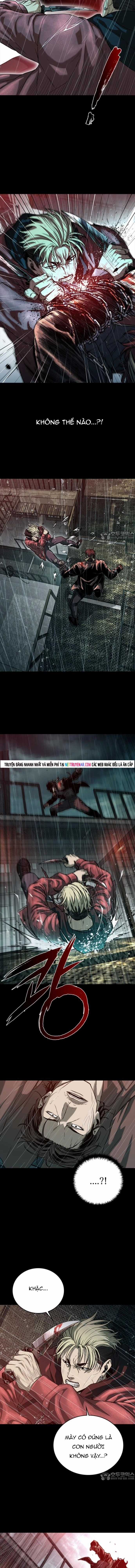 Cửu Long Saroka - Chapter 43 - Trang 9