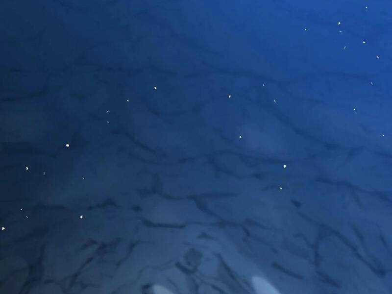 Cựu Nhật Ngự Long - Chapter 89 - Trang 54