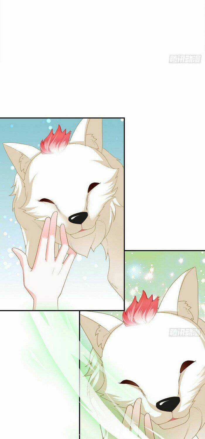 Cửu Tinh Bá Thể Quyết - Chapter 44 - Trang 13