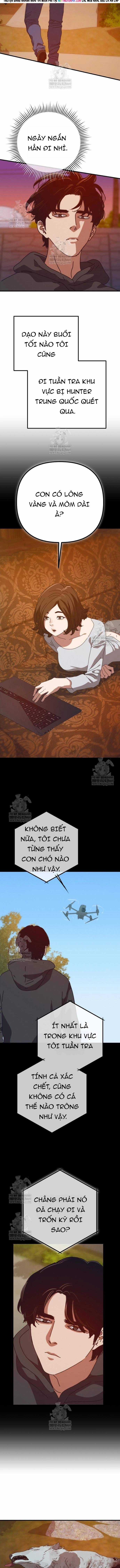 D-Day: Hầm Trú Ẩn - Chapter 81 - Trang 12