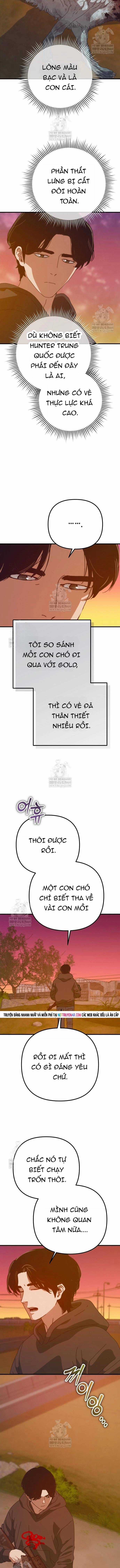 D-Day: Hầm Trú Ẩn - Chapter 81 - Trang 13