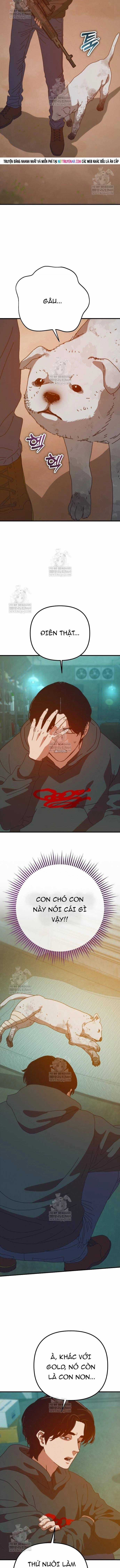 D-Day: Hầm Trú Ẩn - Chapter 81 - Trang 14