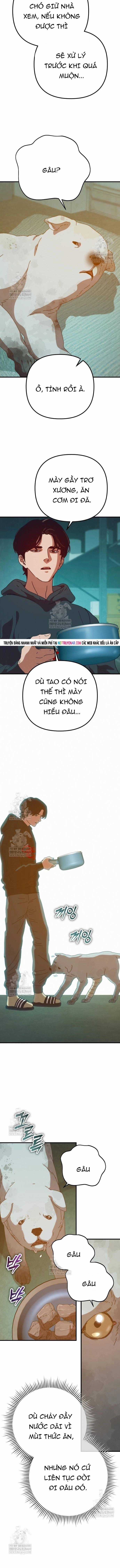 D-Day: Hầm Trú Ẩn - Chapter 81 - Trang 15