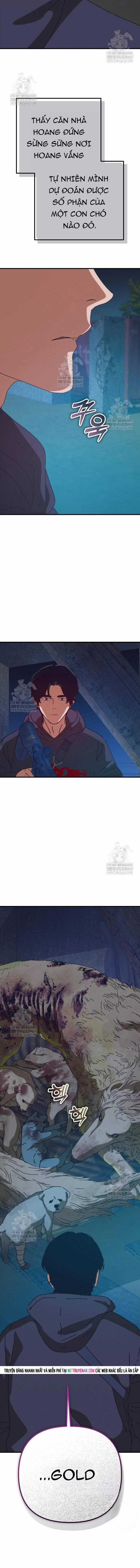 D-Day: Hầm Trú Ẩn - Chapter 81 - Trang 17