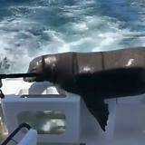 Đã Lâu Không Gặp - Chapter 53 - Trang 13