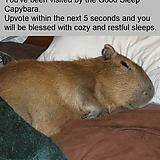 Đã Lâu Không Gặp - Chapter 53 - Trang 6