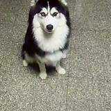 Đã Lâu Không Gặp - Chapter 56 - Trang 20